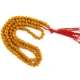 Show details for Rudrani Mala Colored Picture of Rudrani Mala Colored