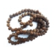 7 mukhi (Face) Rudraksha Beads String 7 mukhi (Face) Rudraksha Beads String