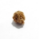 Natural Ganesh Rudraksha Ganesh Rudraksha
