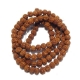 6 Mukhi Rudraksha String 6 Face Rudraksha String