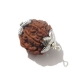 Seven Face Nepali Rudraksha 7 face rudraksha