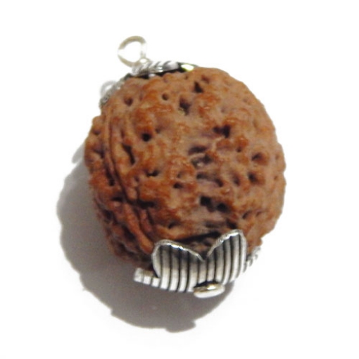 Four Face (Mukhi) Nepali Rudraksha Pendant