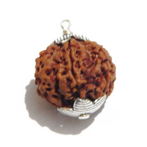 Six Face Rudraksha Pendant