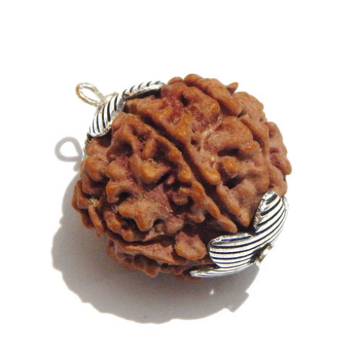 Six Face Rudraksha Pendant