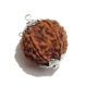 6 Face Nepali Rudraksha Pendant Six Face Rudraksha Pendant