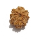 9 Face Nepali Rudraksha Nine Face Nepali Rudraksha